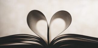 Co oznacza symbol łosia na samochodzie?