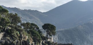 Ile kosztuje body kit?