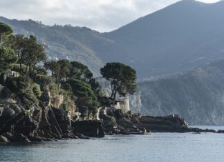 Ile kosztuje nowy Chr?